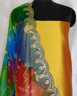 Plain silk top with designer heavy Embroidered Organza Dupatta.